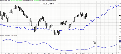cattle