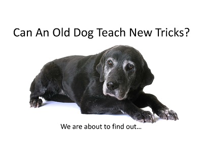 Old Dog New Tricks 2025